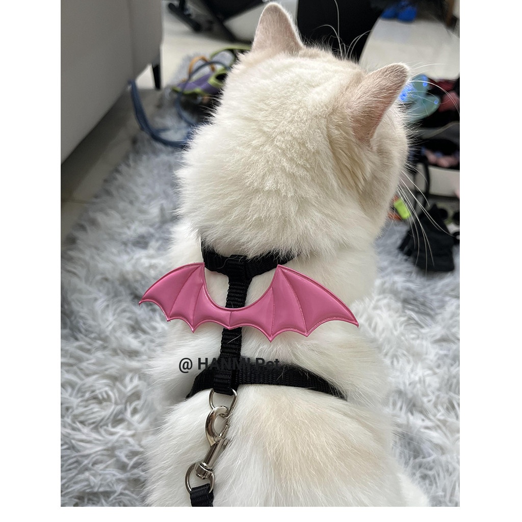 [Pet-Eleven] Dây kéo mèo Halloween ngộ nghĩnh Hình chữ I Dây xích mèo chống chia tách Bichon Chó nhỏ Dây dắt chó đi bộ