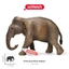 Schleich Mẹ Châu Á Voi 14753 Voi Mô Phỏng Thảo Nguyên Động Vật Hoang Dã Mô Hình Đồ Chơi Trẻ Em