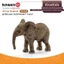 Schleich Little African Elephant Model Bộ sưu tập đồ chơi Safari dành cho trẻ em Đồ trang trí 14763