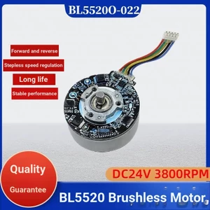 BL5520 Đất Hiếm Mạnh Từ Hỗ Trợ Chuyển Tiếp Xoay Ngược pwm Điều Chỉnh Tốc Độ Động Cơ Không Chổi Than Fascia Súng Máy Mát Xa Động Cơ 24V