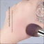 Sơn Chuntang Cọ Trang Điểm H979 Blush Brush Kích Thước Nhỏ Một Gói Động Vật Tóc Chuyên Nghiệp Rời Bột Bàn Chải Còn Lại Bột Bộ Bàn Chải Trang Điểm
