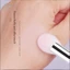 Sơn Chuntang Cọ Trang Điểm H622 Len Blush Bàn Chải Nhỏ Hình Quạt Highlighter Làm Sáng Bàn Chải Tóc Động Vật Chất Lỏng Dán Bàn Chải