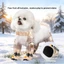 Quần bốn chân chống bụi cho chó Vỏ chân chống bẩn cho thú cưng Chống nước chống tiểu Bichon Teddy Chó nhỏ đi chơi cho chó đi chơi tiện dụng