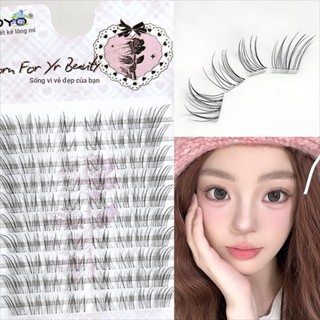 C Curl 9-14mm Cụm lông mi giả tự nhiên mở rộng mi giả cho người mới bắt đầu & người thành thạo Thân thiện