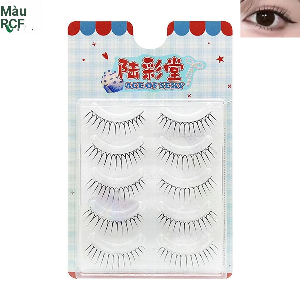 Lông mi giả một mảnh - Phần mở rộng toàn dải để trang điểm ngày cưới cho bữa tiệc