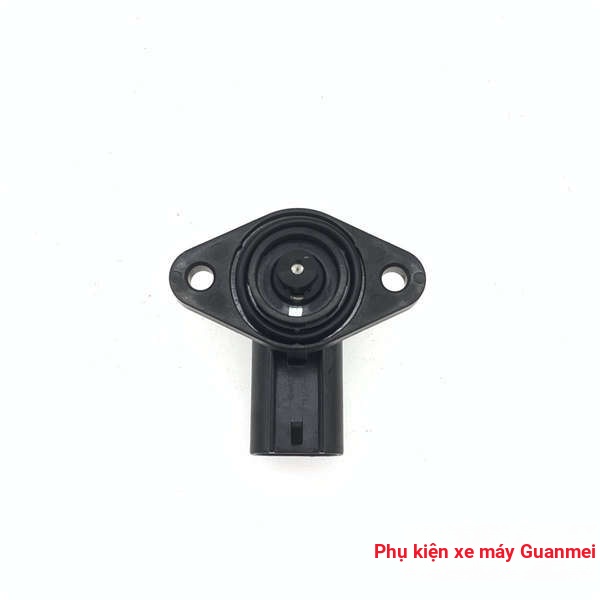 Thích hợp cho Suzuki EFI Tianyu UZ125T-A Hongbao UM12T5-A Ruicai QS125T-4 động cơ không tải