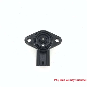 Thích hợp cho Suzuki EFI Tianyu UZ125T-A Hongbao UM12T5-A Ruicai QS125T-4 động cơ không tải