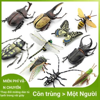 🔥 Mô hình côn trùng 🔥 quà tặng trẻ em mô phỏng mô hình động vật nhỏ có hàng sẵn đồ chơi giáo dục giáo dục sớm cho trẻ em Côn trùng cảnh quan đạo cụ đồ chơi động vật mới lạ ❦Mô Phỏng Mẫu Đồ Chơi Mô Hình Tủ Lạnh Dán Côn Trùng Bọ Cánh Cứng Ong Ruồi Một Sừn