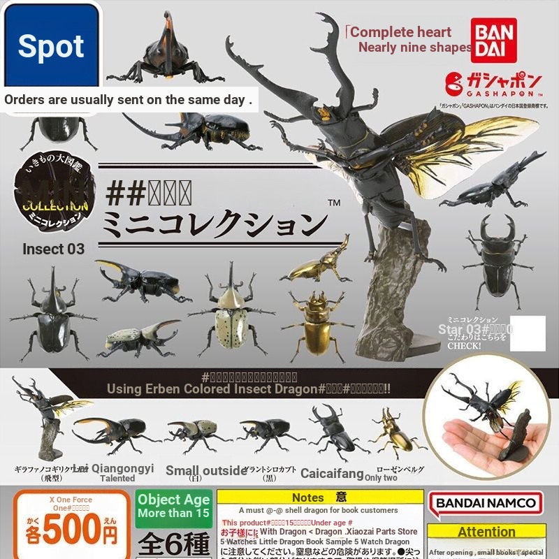 [BTF] Mô Hình Sách Gashapon MINI Côn Trùng Bọ Cánh Cứng 3 Stag Beetle KRTV