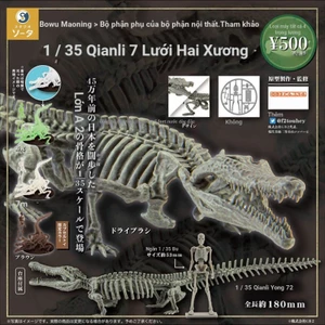 Mô Hình Xương Cá Sấu 6ndu Tỉ Lệ 1 / 35