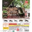 Hàng có sẵn BANDAI Capsule Toy Sinh học Sách minh họa lớn Beetle 10 Rhinoceros Beetle Unicorn Pocket Worm Trang trí E42B