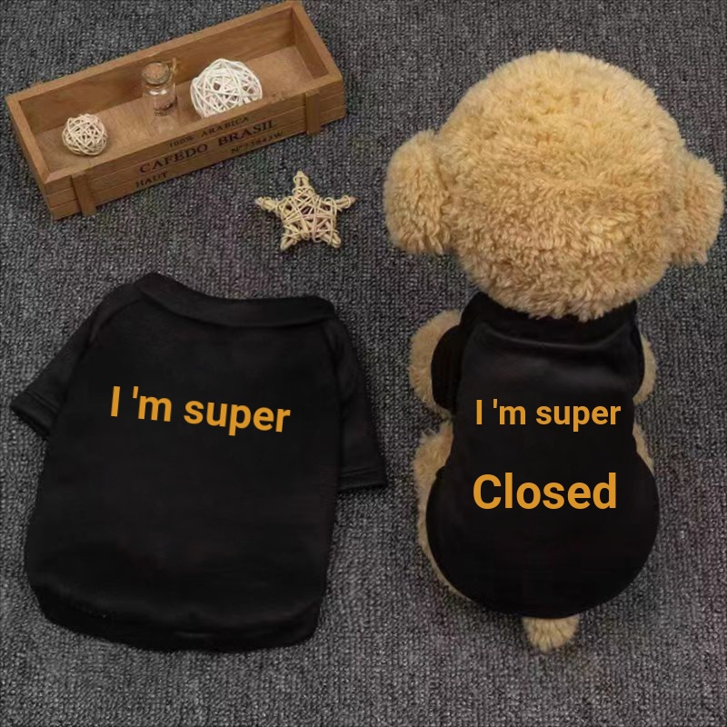 Quần Áo Thú Cưng Áo Vest Chó Nhỏ Chó Mùa Xuân Thu Đông Mùa Hè Mỏng Bichon Teddy Tiếp Liệu Chó Con Mèo