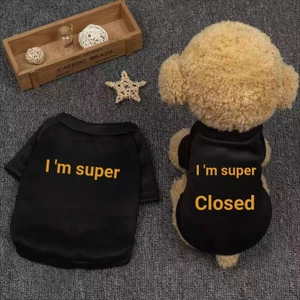 Quần Áo Thú Cưng Áo Vest Chó Nhỏ Chó Mùa Xuân Thu Đông Mùa Hè Mỏng Bichon Teddy Tiếp Liệu Chó Con Mèo