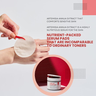 Pad Toner Artemisia Low pH Ngừa Mụn Làm Dịu Da Tẩy Tế Bào Chết (75 Miếng) Hàn Quốc ENCA
