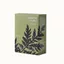 Gói mô hình Cica cao cấp _ Chăm sóc da liễu Hàn Quốc (Madecassoside, chiết xuất Centella asiatica) (73g * 4ea)