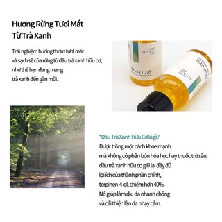 <Odorata / Neferra> Làm Dịu + Chăm Sóc Mụn / Tinh Chất Dưỡng Da Mặt với Tràm Trà 20ml