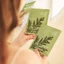 Gói mô hình Cica cao cấp _ Chăm sóc da liễu Hàn Quốc (Madecassoside, chiết xuất Centella asiatica) (73g * 4ea)