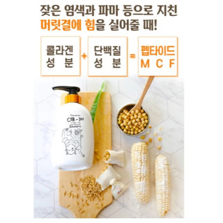 [Elizabethka] CER-100 Collagen Coated Hair Protein Treatment 100 ml CER-100 Collagen Coated Hair A + Muscle Shampoo 500 ml Collagen Coated Hair Muscle Treatment Rinsing 500 ml