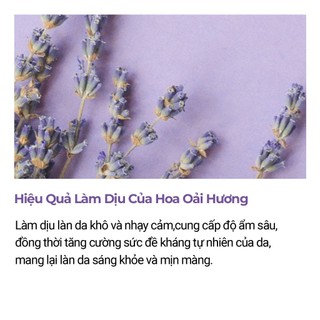 <Odorata / Neferra> Cấp Ẩm + Làm Dịu Da / Tinh Chất Dưỡng Da Mặt với Hoa Oải Hương 20ml