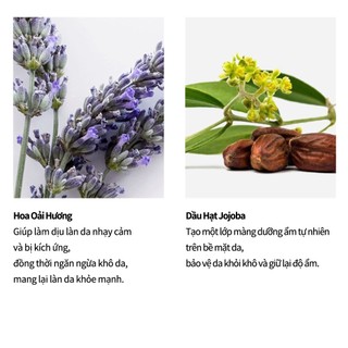 <Odorata / Neferra> Cấp Ẩm + Làm Dịu Da / Tinh Chất Dưỡng Da Mặt với Hoa Oải Hương 20ml