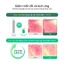 Toner Pad Làm Dịu Da & Tẩy Tế Bào Chết với AHA Thực Vật AC Deep Green Calming Pad 60 Miếng