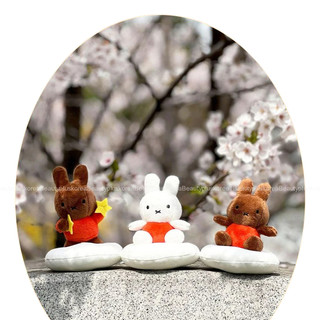 [Miffy] Búp bê móc khóa quyến rũ Dream Bag 13cm (Miffy, Nâu, Ngôi sao)