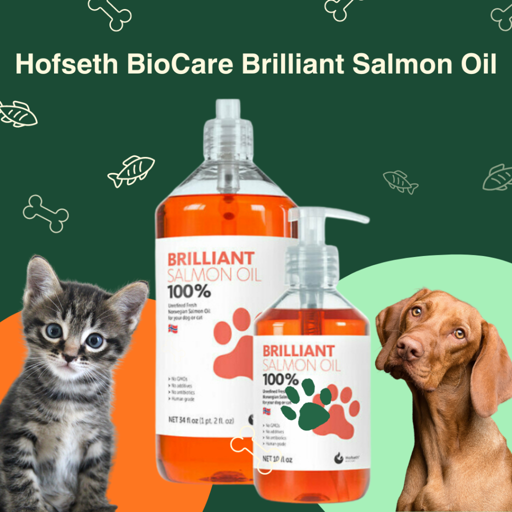 Dầu Cá Hồi Sinh Hofseth Biocre Brilliant Cho Chó & Mèo 300ml (Omega 3, EPA Fatty Acid, Hỗ Trợ Khớp, Da Và Lông, Hệ Miễn Dịch)