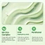 Torriden Gel rửa mặt BALANCEFUL CICA, 30ml, Cleansing Gel