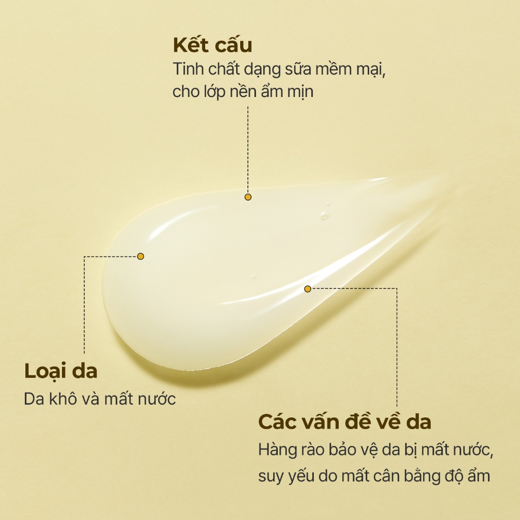 [Torriden Chính hãng] Dưỡng chất chăm sóc da cả ngày SOLID IN chứa Ceramide, 100ml, Essence