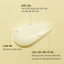 Dưỡng chất chăm sóc da cả ngày SOLID IN chứa Ceramide, 100ml, Essence