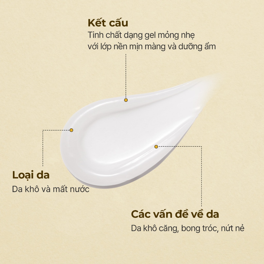 Review Set Dưỡng Môi Torriden SOLID IN Ceramide | Cấp Ẩm Sâu, Môi Mềm Mịn