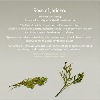 [Abib] Giọt làm săn chắc da Jericho Rose Bifida 50mL