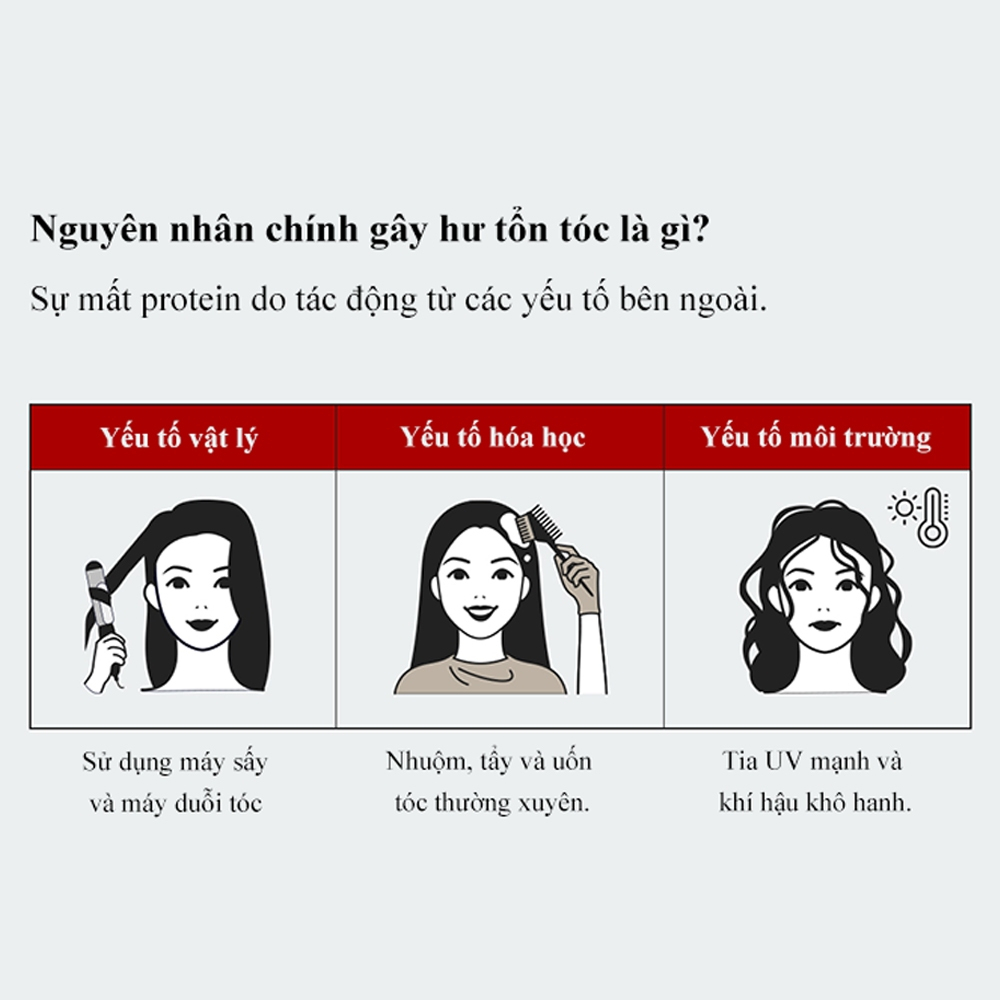 Dầu xả Kem dưỡng tóc không gội Lemetique 100ml 100ml