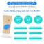 Kem Chống Nắng Thuần Chay 12GRABS Vegan Comforting Sun Cream SPF 50+ PA++++ tinh chất sâm Hàn Quốc