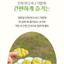 Bộ Quà Tặng Bánh Mì Yeongcheon Shine Muscat 6 Miếng 12 Miếng