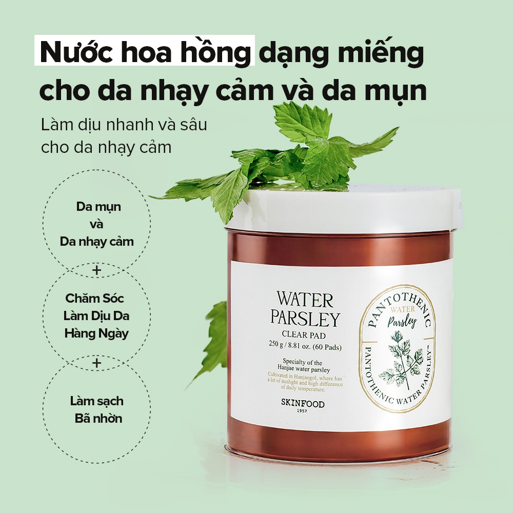 Ảnh Hộp 60 miếng bông cần nước / B5 kiểm soát bã nhờn và chống viêm / Pantothenic Water Parsley Clear Pad / Toner Pad 2