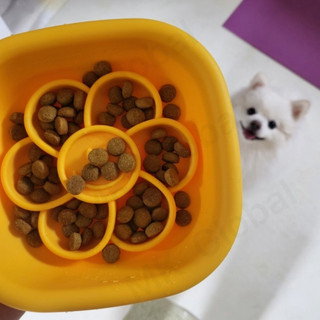 [Pethroom & Wiggle Wiggle] Bát ăn chống ngạt cho chó mèo | Bát silicone chống trượt ăn chậm