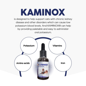 [Vetplus] KAMINOX dành cho chó mèo 60ml / Bổ sung kali lỏng ngon miệng