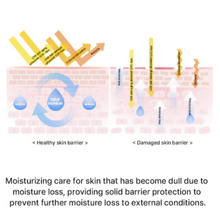Apothe Tulip Barrier Vegan Ampoule 30ml - Serum phục hồi & bảo vệ da