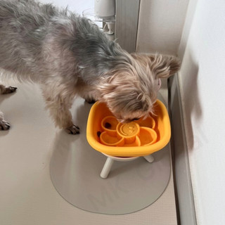 [Pethroom & Wiggle Wiggle] Bát ăn chống ngạt cho chó mèo | Bát silicone chống trượt ăn chậm