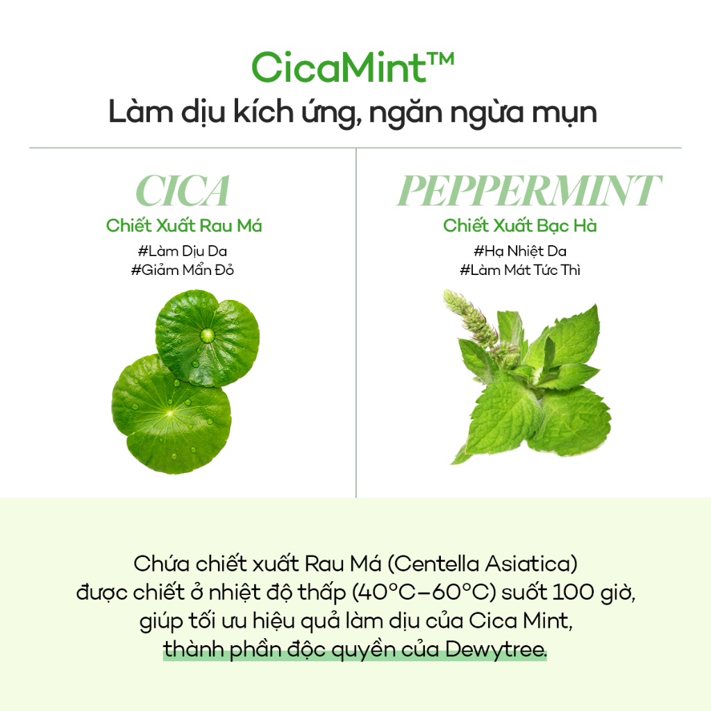 [DEWYTREE] Toner Pad Dưỡng Sáng Mờ Thâm & Làm Dịu Da AC Deep Blemish Green Calming Pad 80 Miếng