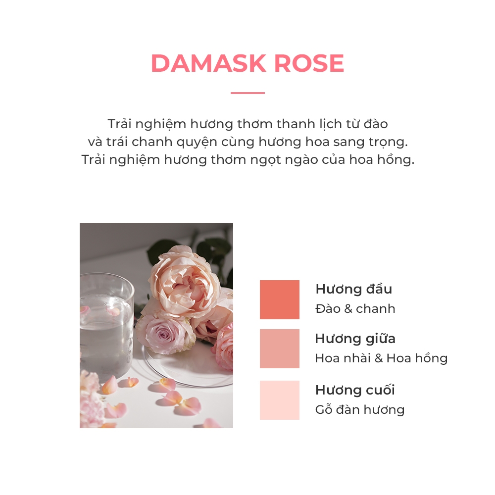 Ảnh Dầu gội nước hoa hồng Damask 500ml [Dầu hoa hồng Damask 100%, Thành phần tự nhiên 90%, Hương thơm trái cây lâu trôi] 4