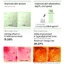 MINI SIZE Reedle Shot 100 / PDRN Essence / PDRN Cream 10ml Cải thiện kết cấu da Làm sáng chống lão hóa [Flagship chính thức]