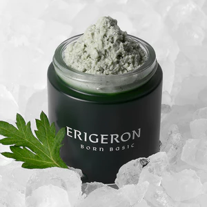Mặt nạ tẩy da chết Erigeron Gelato Exfoliating Pack Cleanser