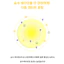 Hc LAB 's Vital Vitamin C Ampoule