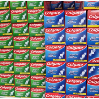 [Colgate] Kem đánh răng chống sâu răng tối đa – 2 loại (Icy Cool Mint 100g / Regular Flavor 175g)