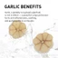 GARLIC AC Reedle shot Spot patch & Point patch 48 miếng vá Hỗ trợ giảm mụn Reedle shot miếng vá [Flagship chính thức]