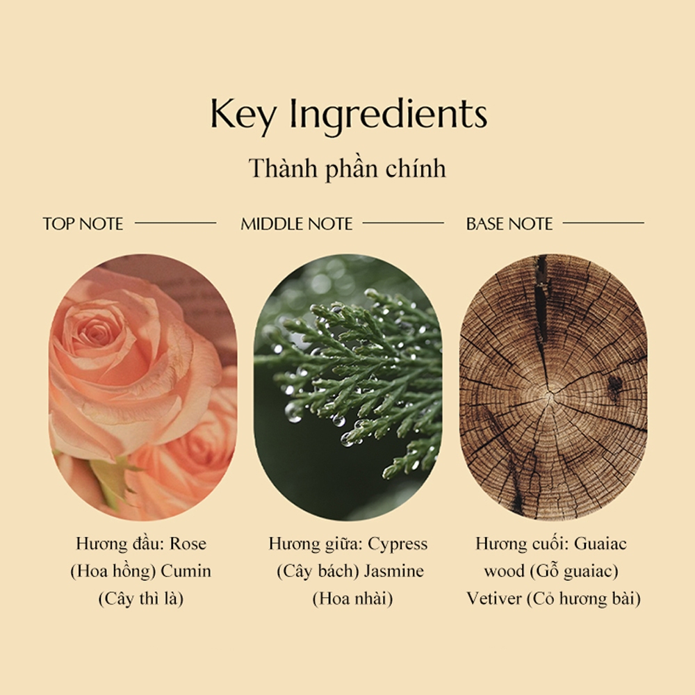 Nước hoa Come Inside Me Woody Rose Eau de Parfume 50mL