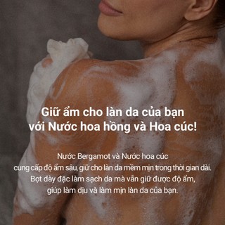 <Odorata / Dr. +Aroma> Dưỡng Ẩm + Dịu Nhẹ / Sữa Tắm Hương Liệu  240ml