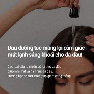 <Odorata / Dr. +Aroma> Ngăn Rụng Tóc + Tăng Cường Sức Sống / Dầu Dưỡng Tóc Energy Point 50ml / 2ml